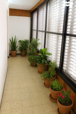 דירה, רוטשילד 75, לב המושבה / מרכז העיר, פתח תקווה