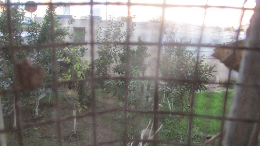 דירת גן, פנחס רוטנברג 16, קרית נורדאו, נתניה