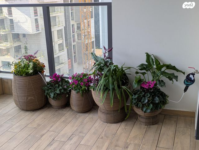 דירה, יוחנן הסנדלר 7, דרום חדש, פארק הים, בת ים