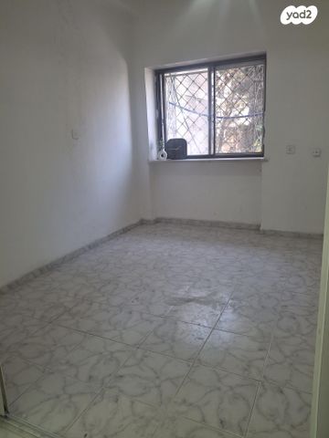 מיכאל וציפורה פינס 3