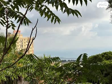 גבעת דאונס 9