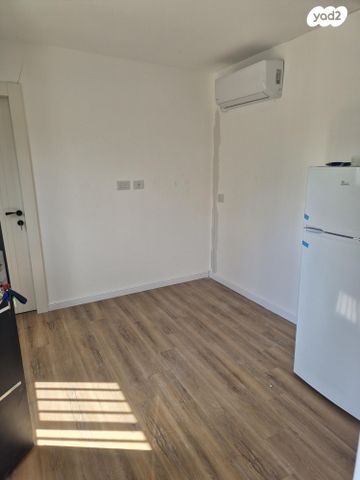 יהודה המכבי 12