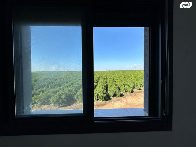 שיר השירים 13