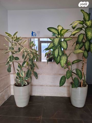 דירה, דרך בן גוריון 97, דרום מערב ותיק, בת ים