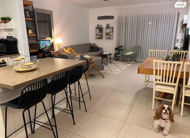 בן גוריון 31