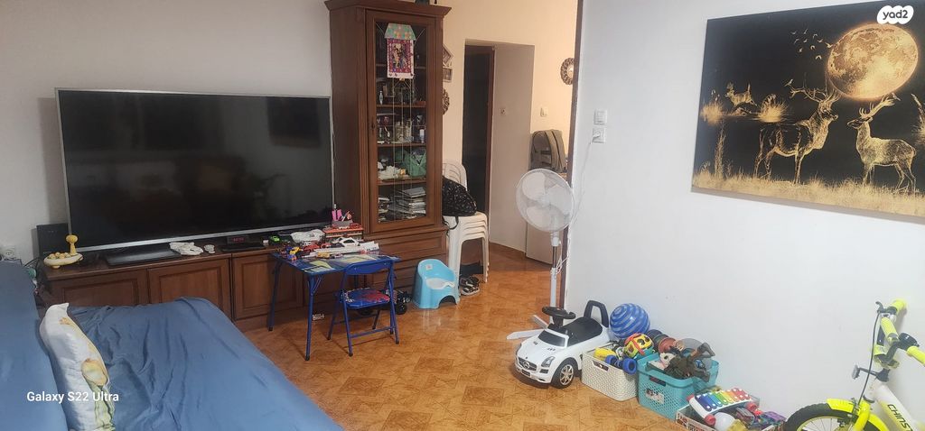 דירה, מעלה הגיבורים 1, בן דור, נשר