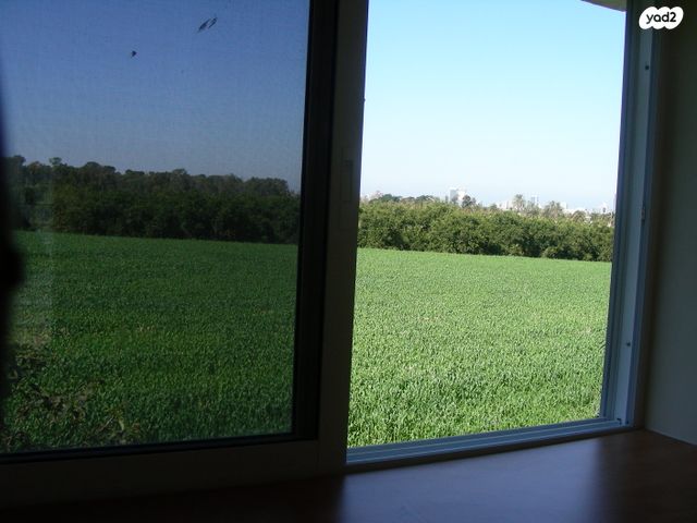 יהושע טהון 49