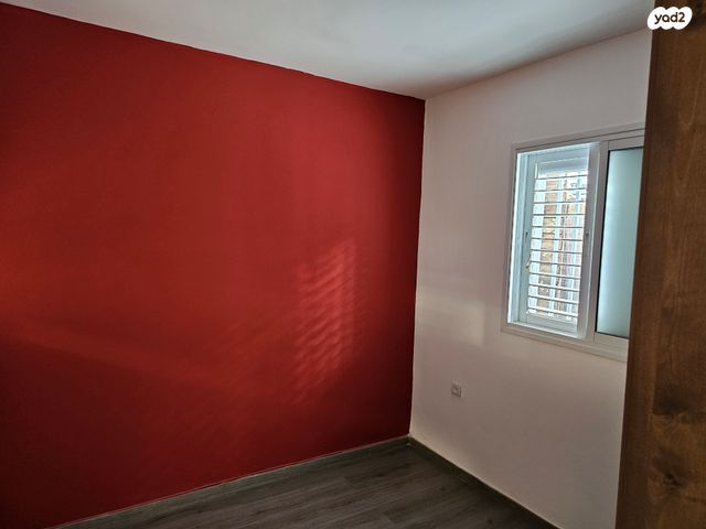 דם המכבים 29