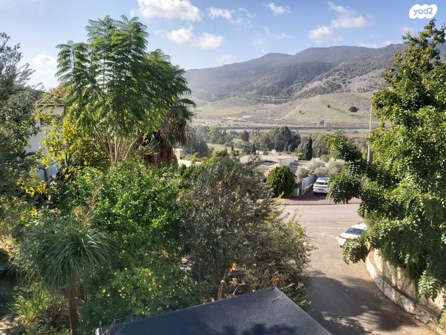 מעלה אבשלום 22