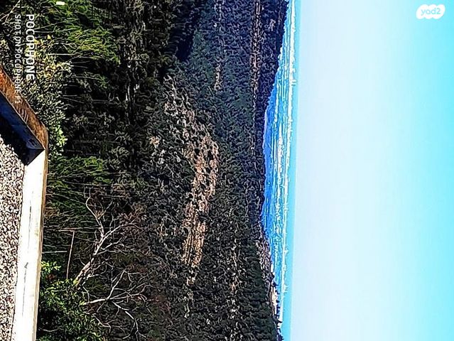 בית פרטי/ קוטג', ענבל 292, גבעת יערים, גבעת יערים