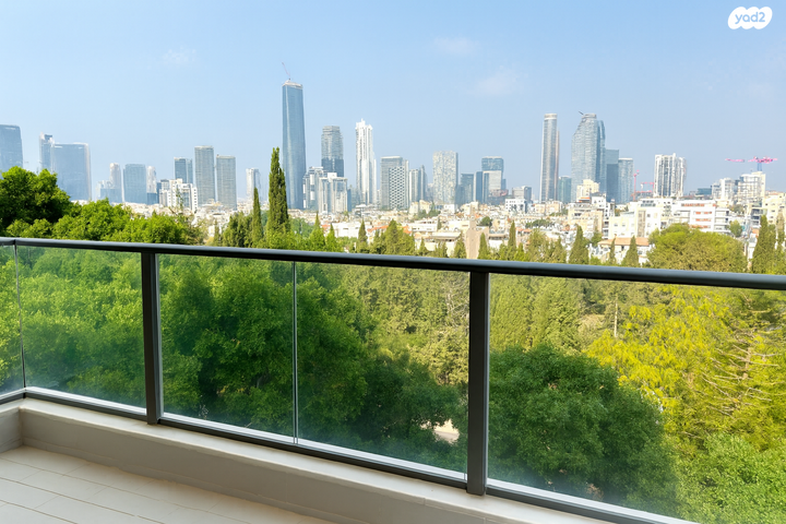 ישראל טייבר 