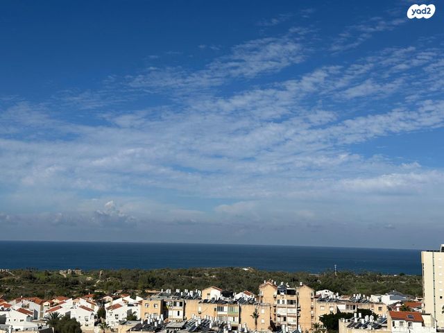 נווה אלונים