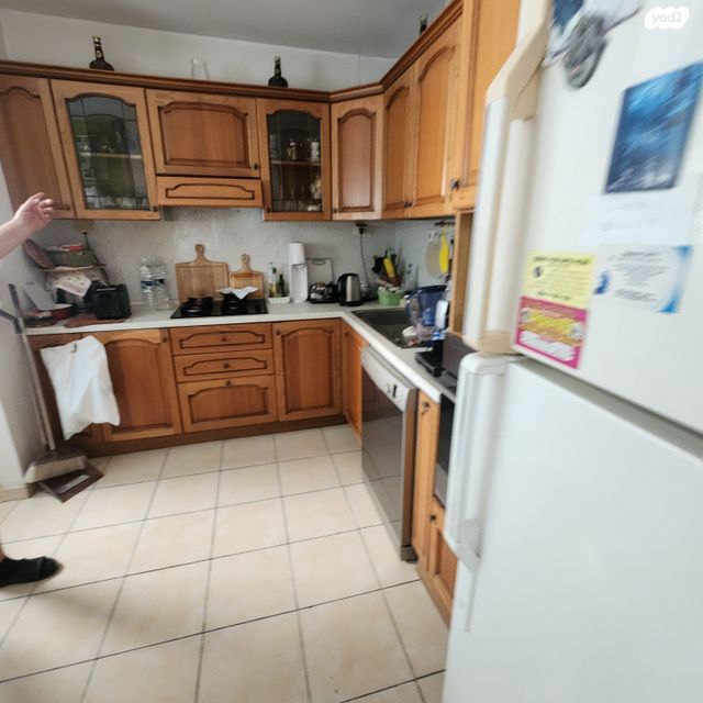 ז'בוטינסקי 4