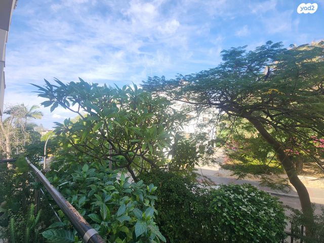 דירת גן, מרכז, הרצליה