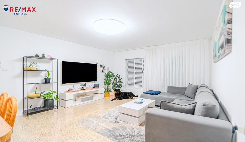 דירה, דוד ברגר, ז'בוטינסקי, אשקלון