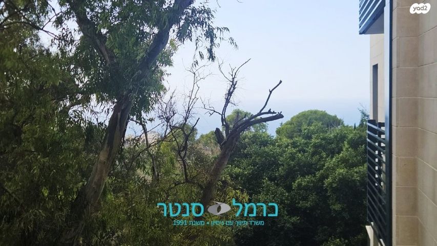 דירה, כבירים, חיפה