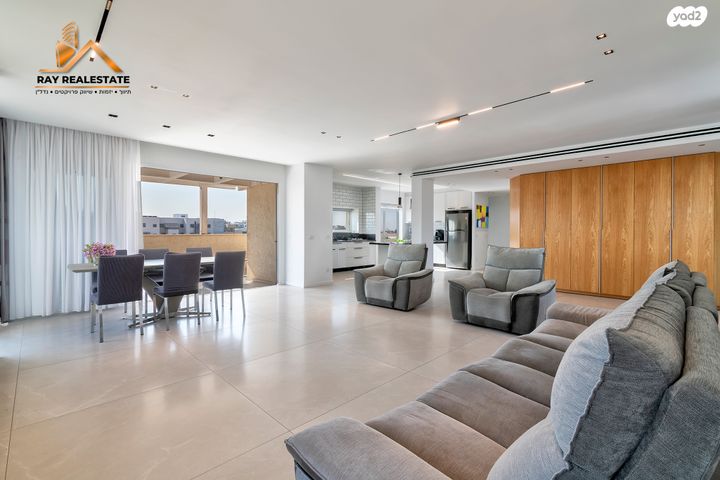 דוד וולפסון 