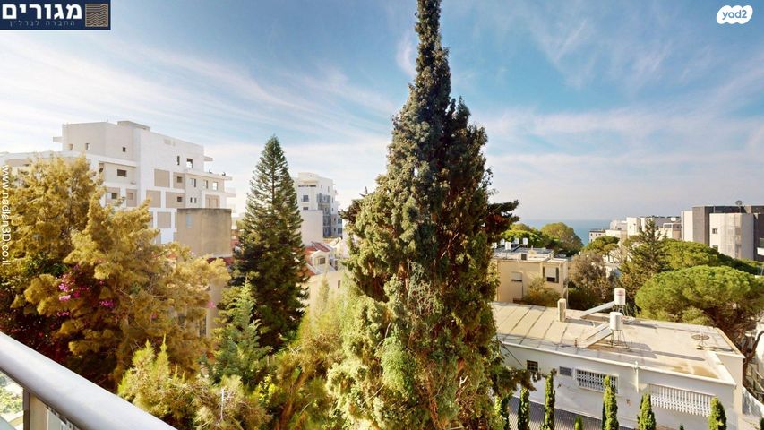 דירה, חורב, אחוזה, חיפה