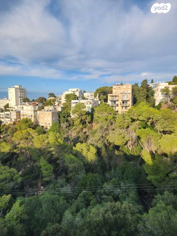 דופלקס, כבירים, כבירים, חיפה