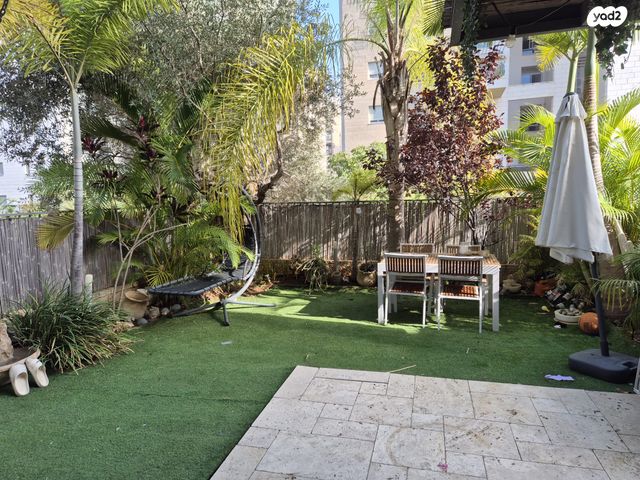 כפר סבא הצעירה