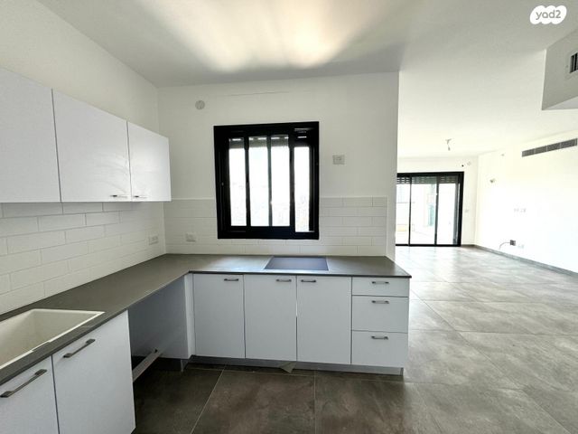 אמנון ליפקין שחק 5