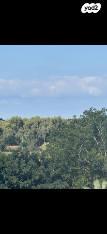 אזורי חן, גימל החדשה