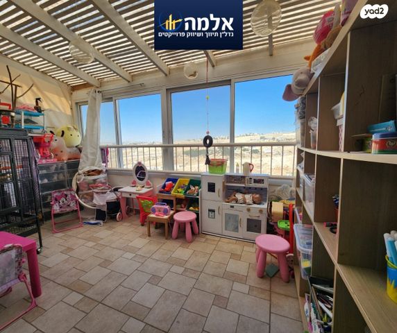 דירה, צמח השדה, מעלה אדומים