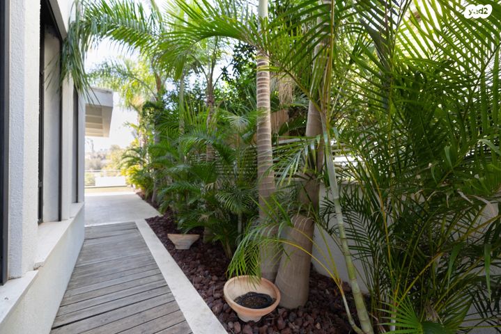 בית פרטי/ קוטג', שמורת מליבו, נס ציונה