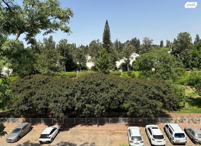 דירה, יאנוש קורצ'אק, קיראון, קרית אונו