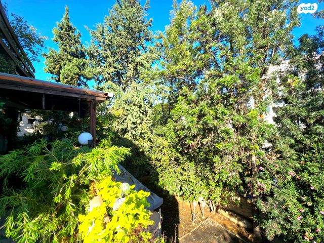 דופלקס, רעננה