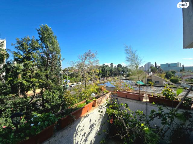 דופלקס, רעננה