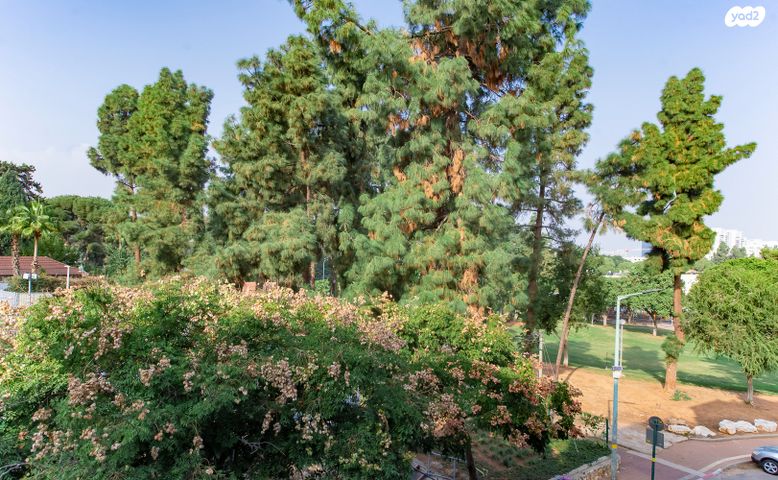 דירה, בנימין יהלום, כפר גנים א, פתח תקווה