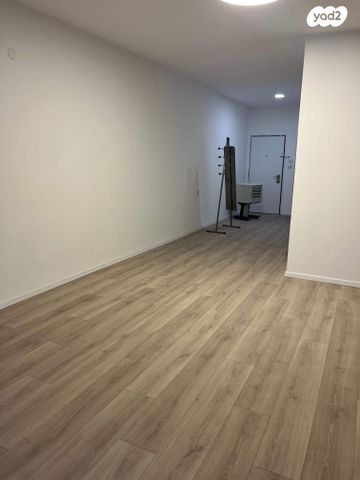 דירה, הדגל העברי, כצנלסון, ראשון לציון