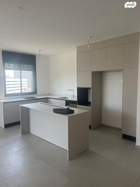 ראול ולנברג 