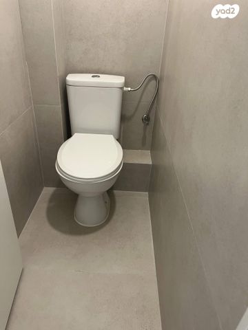 דירה, הדגל העברי, כצנלסון, ראשון לציון