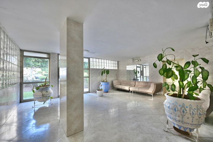 דירה, סוקולוב, ראשונים, ראשון לציון