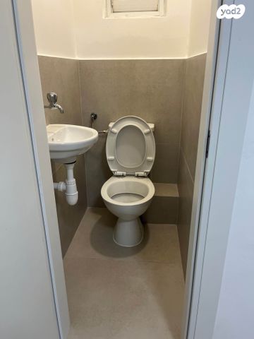 דירה, הדגל העברי, כצנלסון, ראשון לציון