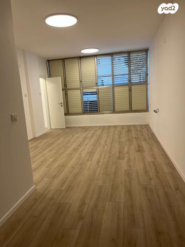 דירה, הדגל העברי, כצנלסון, ראשון לציון