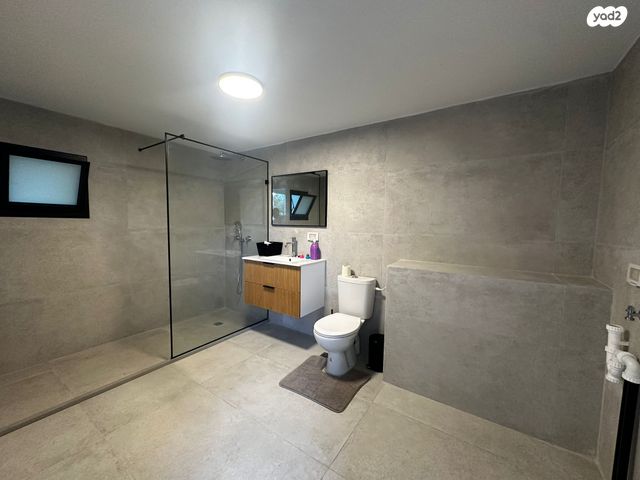 דוד בן גאון 19