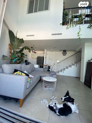 דירה, גרציאני יצחק, תל אביב יפו