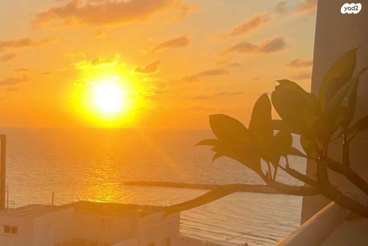 גג/ פנטהאוז, של"ג, הצפון הישן - דרום, תל אביב יפו