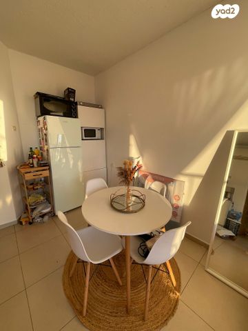 דירה, שליט, ראשון לציון