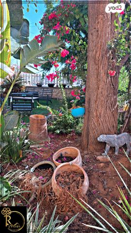 יחידת דיור, המצדים, המצדים, מעלה אדומים
