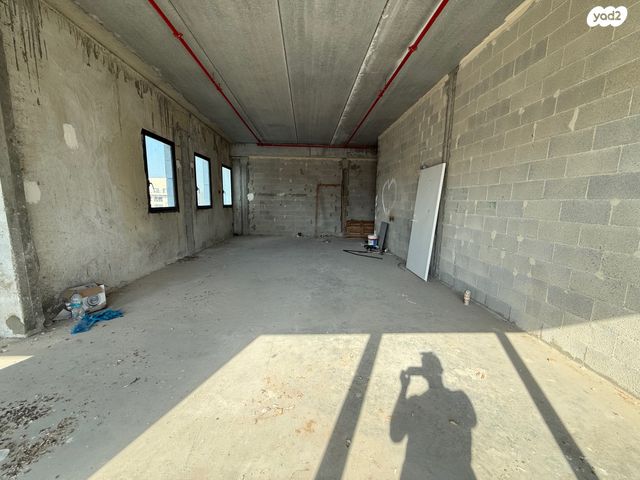 משרדים, שביט, נס ציונה