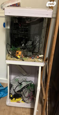 תמונת מודעה - חיות מחמד