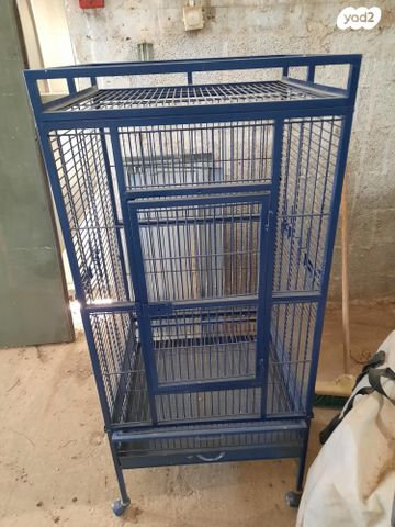 תמונת מודעה - חיות מחמד