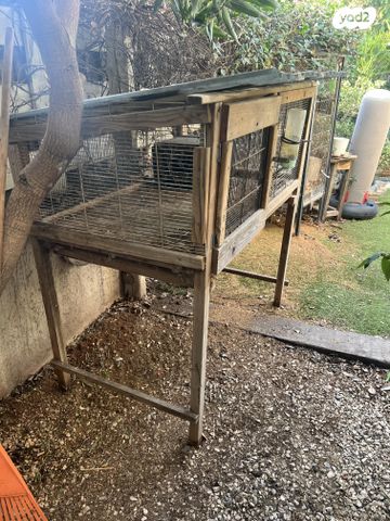 תמונת מודעה - חיות מחמד