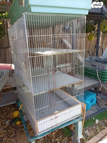 תמונת מודעה - חיות מחמד