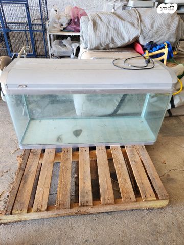 תמונת מודעה - חיות מחמד