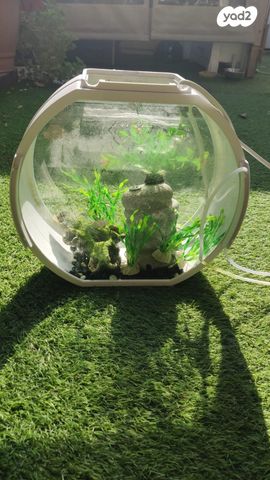 תמונת מודעה - חיות מחמד